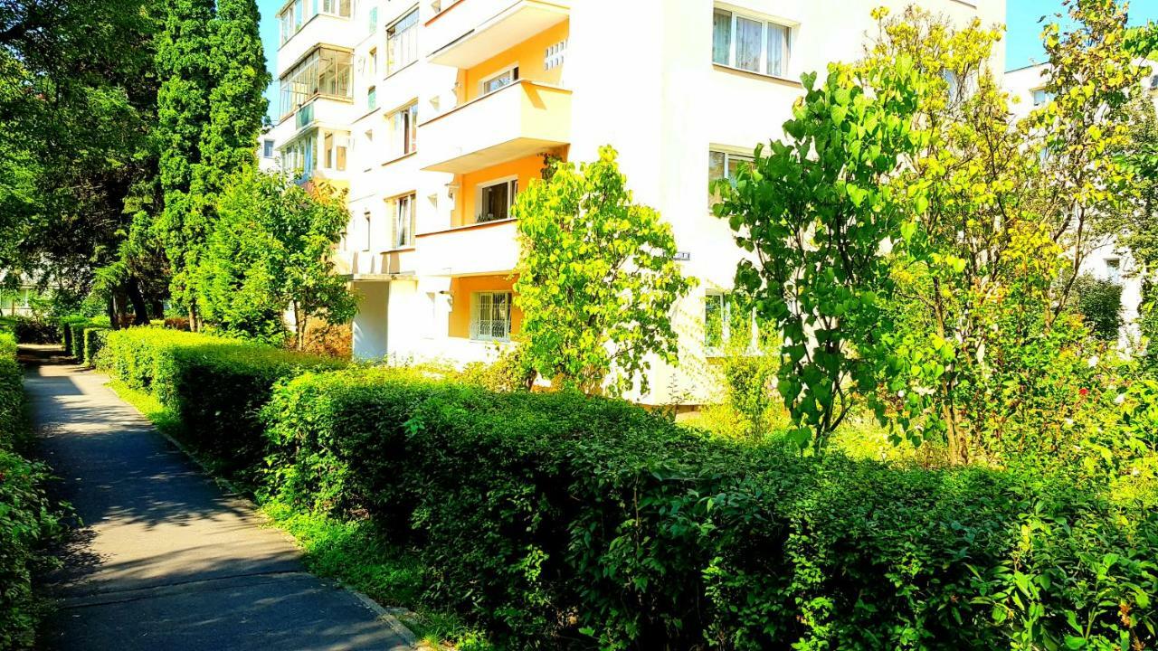 Luxury Paul Apartment Green, Private & Accessible Brasov Exterior photo